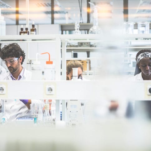 A group of scientists working in the laboratory